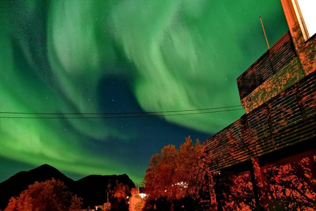 TorskenWaterfront Senja 3アパートメント エクステリア 写真