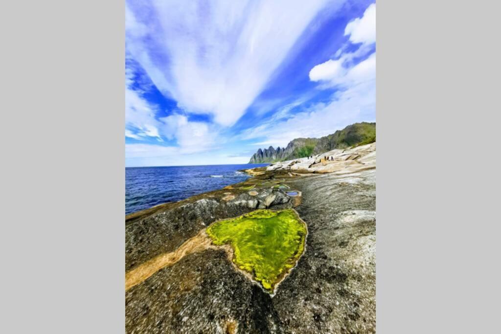 TorskenWaterfront Senja 3アパートメント エクステリア 写真