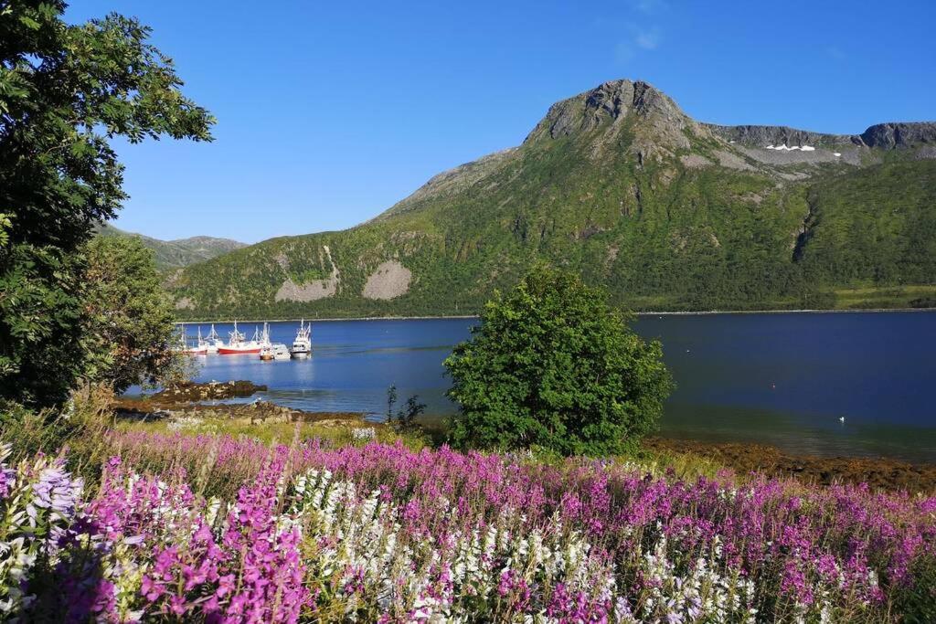 TorskenWaterfront Senja 3アパートメント エクステリア 写真